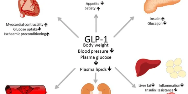 GLP-1 Agonists