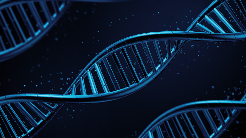 Longevity Care vs Biohacking Culture